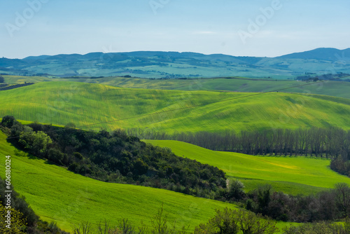 Beautiful green landscape of the Tuscanian countryside, Italy