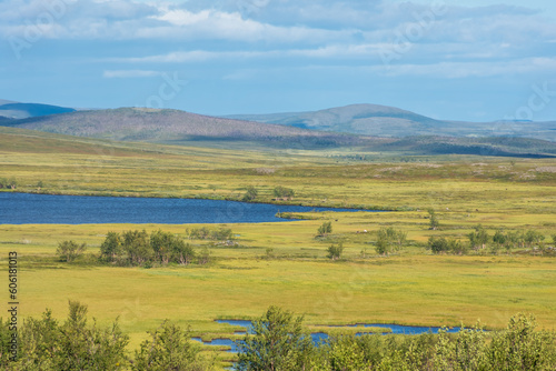 Landscape of  the tundra with a lake in the Finnmark province of Norway photo