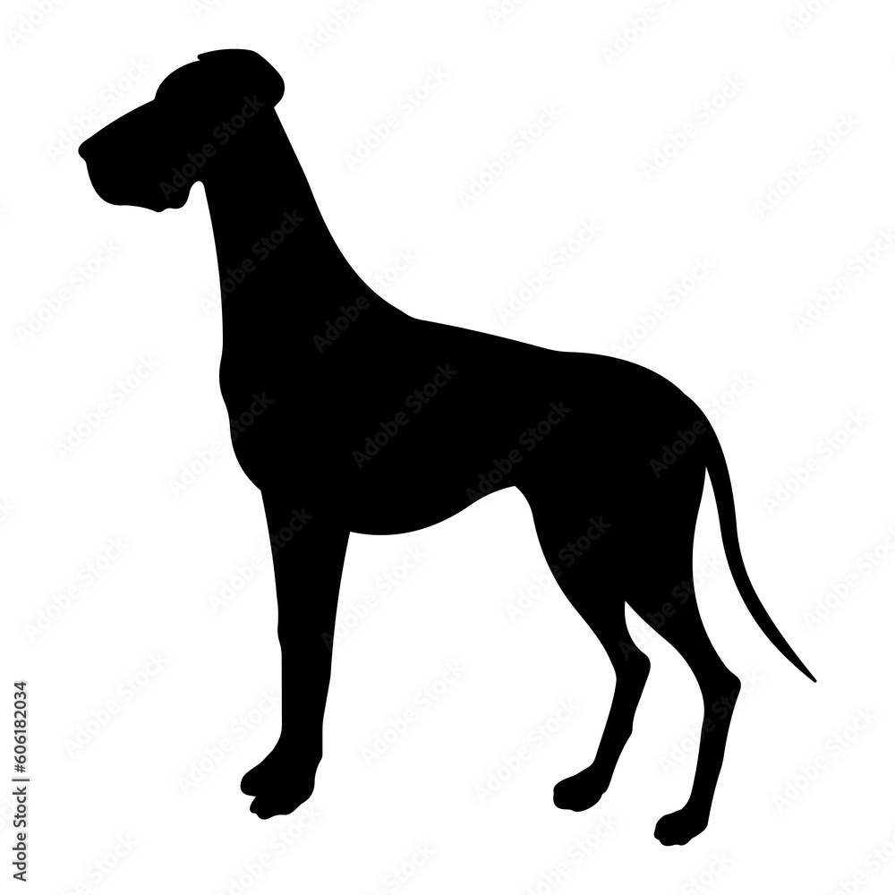 Dog breed illustration. Black silhouette Great Dane.