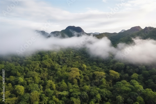 Foggy landscape in the jungle. Fog and cloud mountain tropic valley landscape. aerial view. AI