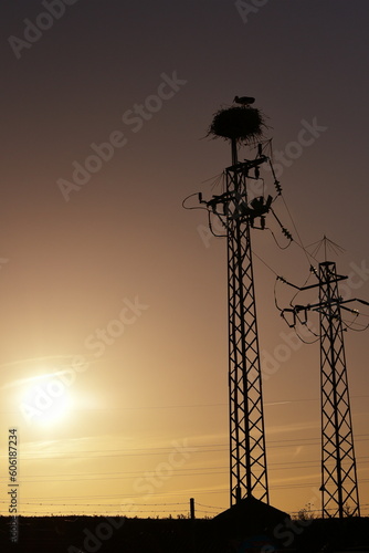 Silhouette of a tower