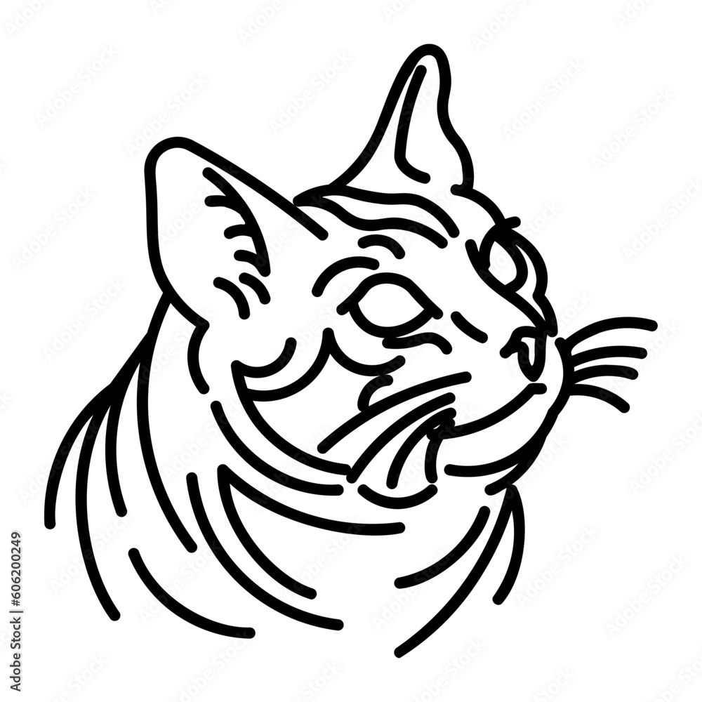 kitty icon kitty icon