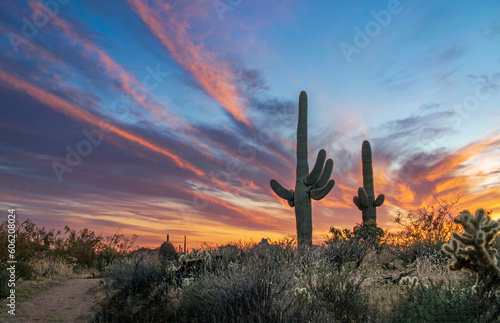 Desert Sunset Skies In North Scottsdale Arizona With Two Saguaro Cactus