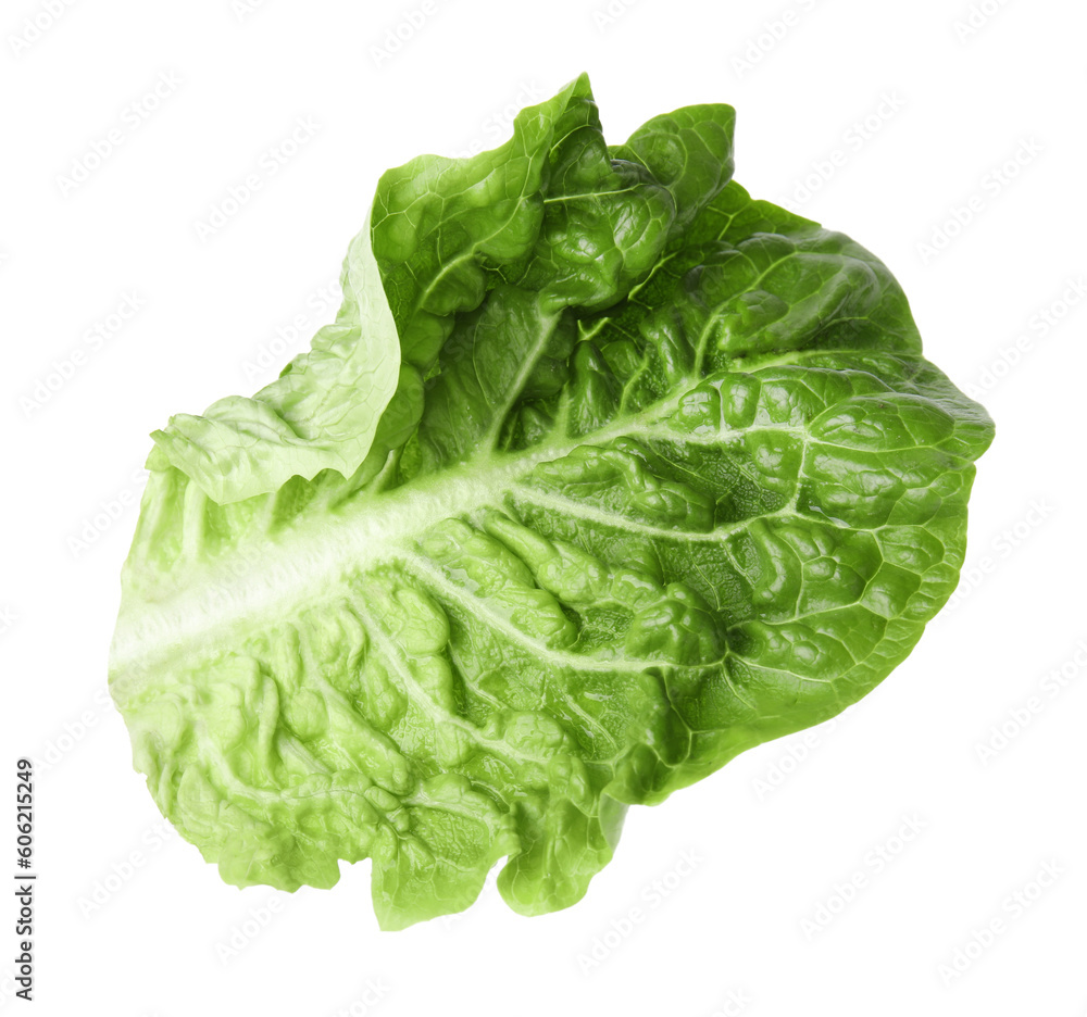 Fresh leaf of green romaine lettuce isolated on white Fresh leaf of green romaine lettuce isolated on white
