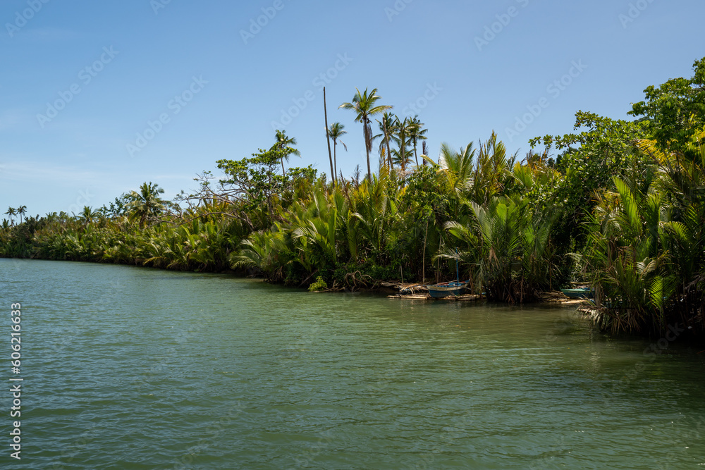 Obraz premium River tour during lunch in Bohol, Philippines