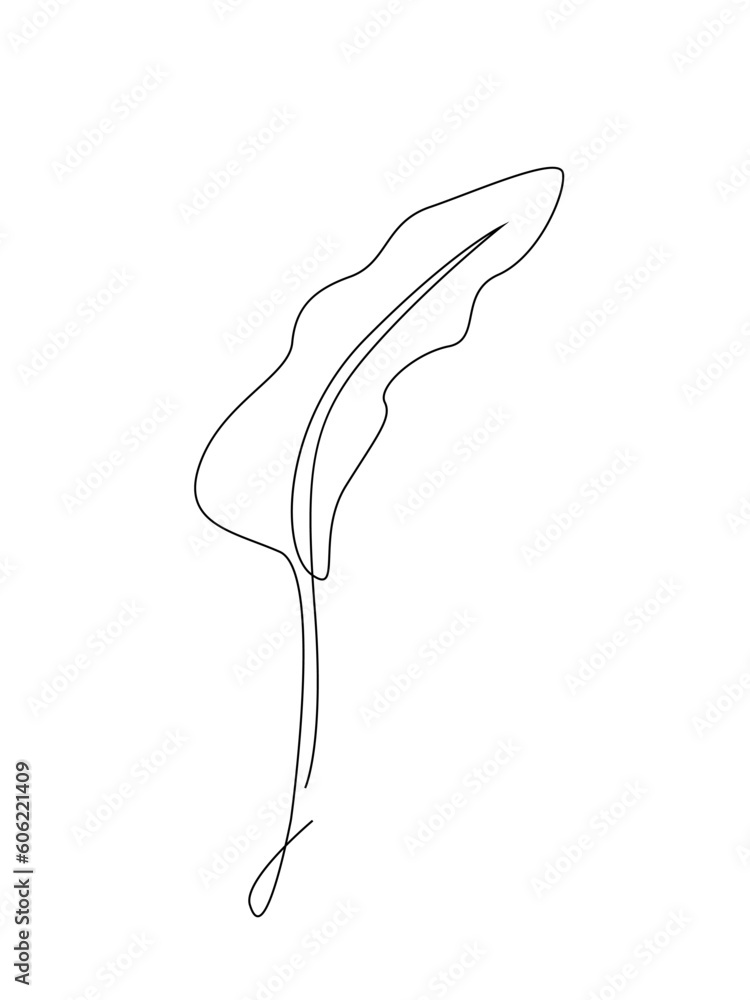 Tree leaf line art. Tropical leaf one line drawing.Continuous line drawing of tropical palm leaf.Single one line exotic palm leaf .Leaves outline sketch. Tree leaf line art. Tropical leaf one line drawing.Continuous line drawing of tropical palm leaf.Single one line exotic palm leaf .Leaves outline sketch.