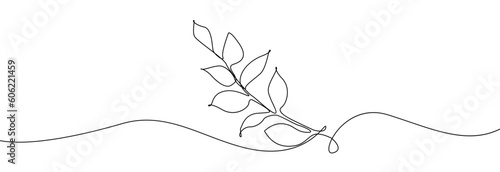 Tree leaf line art. Tropical leaf one line drawing.Continuous line drawing of tropical palm leaf.Single one line exotic palm leaf .Leaves outline sketch.