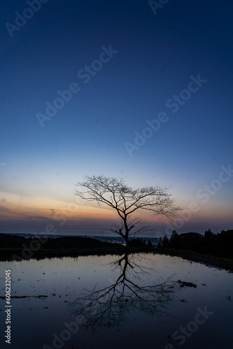 水田と夕方 © kazuyami77