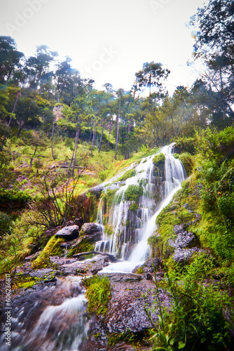 waterfall in forest at rainny day qith cloudy sky in mexiquillo durango 