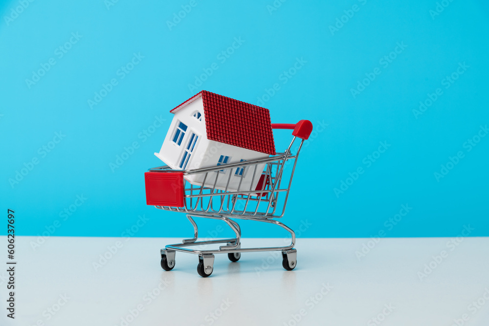 House model on shopping cart House model on shopping cart