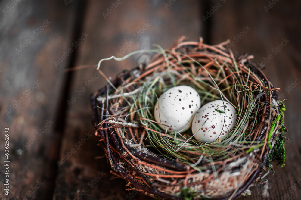 easter egg nest on rustic wooden background