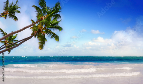dream caribbean beach and green palms