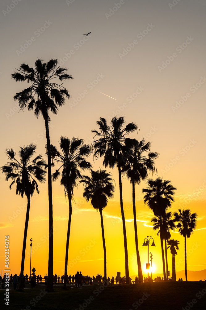 The silhouettes of palm trees at sunset seen at Venice Beach, Los Angeles, USA