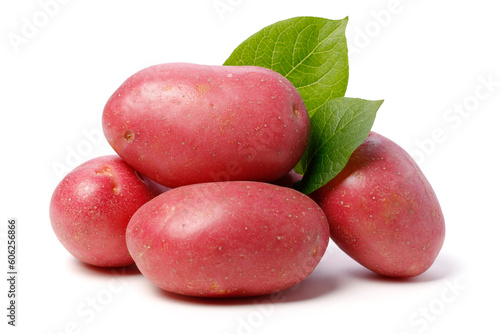 red potato with leaf isolated on white background  photo