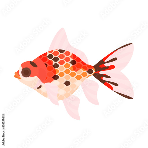 金魚（三色デメキン、キャリコデメキン）。フラットなベクターイラスト。
Calico telescope eye goldfish. Flat designed vector illustration.