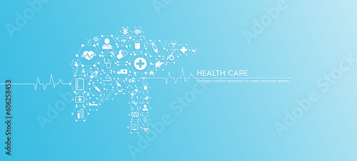 Liver health care. Medical icons inside hexagons connected in the shape of the human liver with white rate graph heart pulse. Organs icons on blue background banner. Vector.