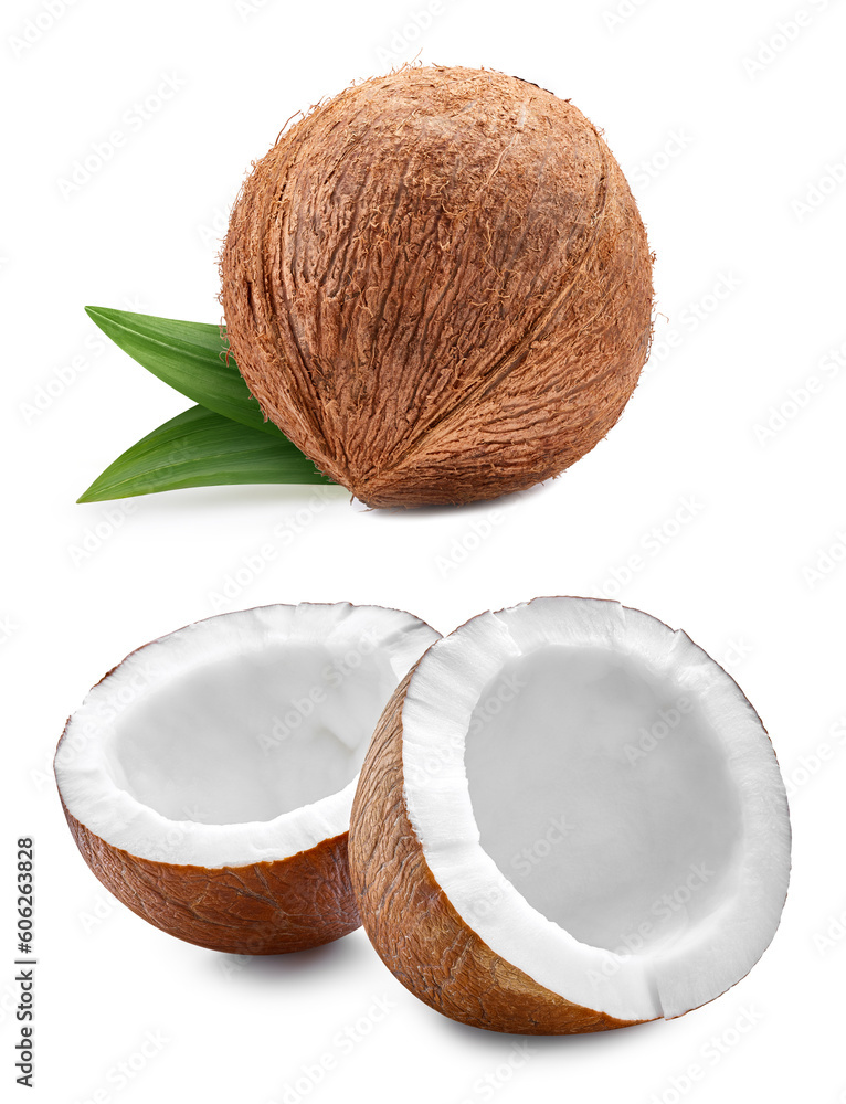 Coconut isolated on white background.Coconut isolated on white background. Coconut isolated on white background.Coconut isolated on white background.