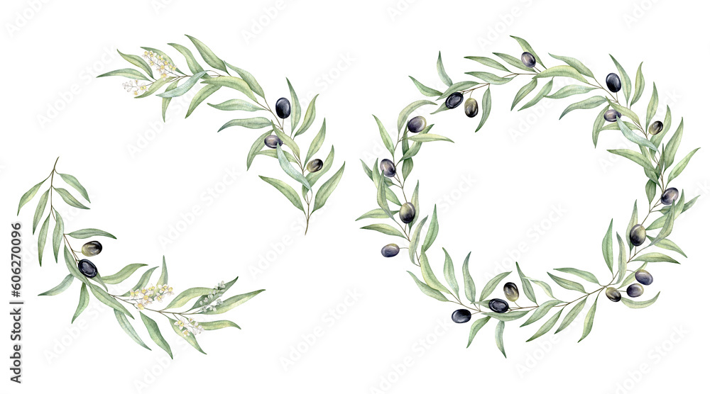 Set of green leaf branches wreaths. Olive berries, greenery foliage, Botanical design element. Hand drawn watercolor illustration for cosmetic branding, greeting card, wedding invitation, pack