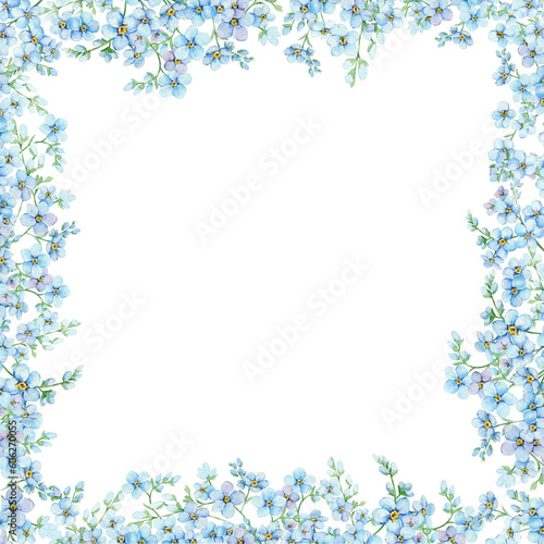 Fototapeta Naklejka Na Ścianę i Meble -  Blue forget-me-nots, floral square frame with place for text. Spring flowers Scorpion Grass, Myosotis. Hand draw watercolor illustration template for wedding anniversary, birthday