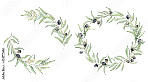 Set of green leaf branches wreaths. Olive berries, greenery foliage, Botanical design element. Hand drawn watercolor illustration for cosmetic branding, greeting card, wedding invitation, pack