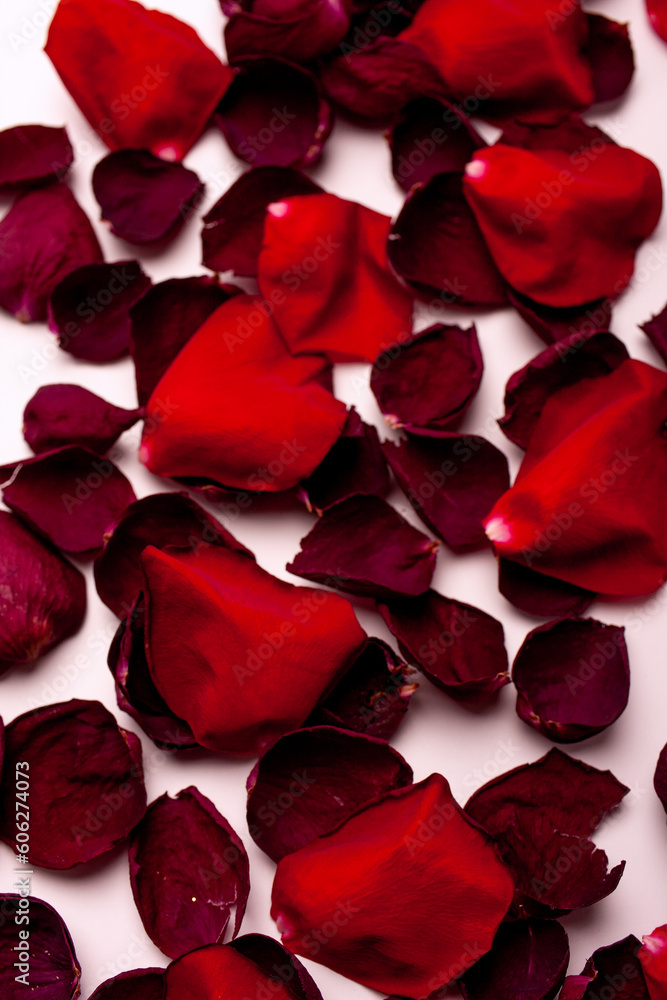 Red rose petals Red rose petals