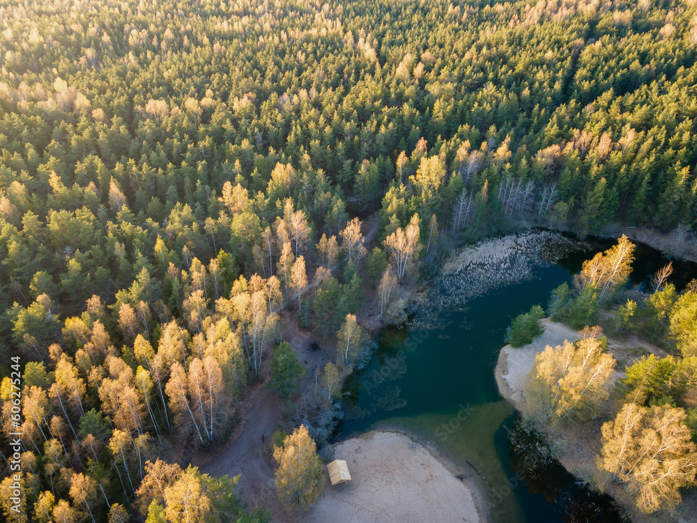 Aerial view to grill place with cabins in forest near river at early spring