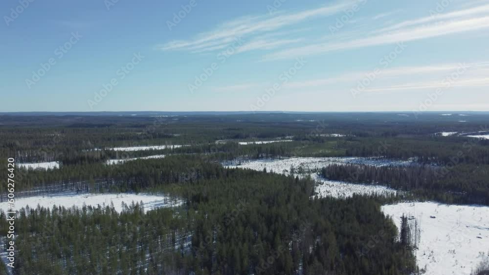 From a bird's-eye view, the winter forest in Finland unveils a breathtaking landscape adorned with snow-covered trees.