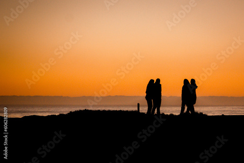 silhouettes of people walking on a beach at sunset