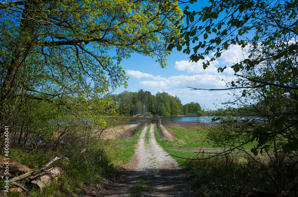 Swedish countryside, A country road among the fields leading into the distance to a small forest, A view from a shady thicket in a natural frame of branches and tree foliage, Nature of Scandinavia Swedish countryside, A country road among the fields leading into the distance to a small forest, A view from a shady thicket in a natural frame of branches and tree foliage, Nature of Scandinavia