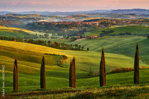 Asciano  landscape in Tuscany  near the Siana and Pienza  Sunrise morning in Italy. Idyllic view on hilly meadow in Tuscany in beautiful morning light  Italy. Foggy morning in nature.