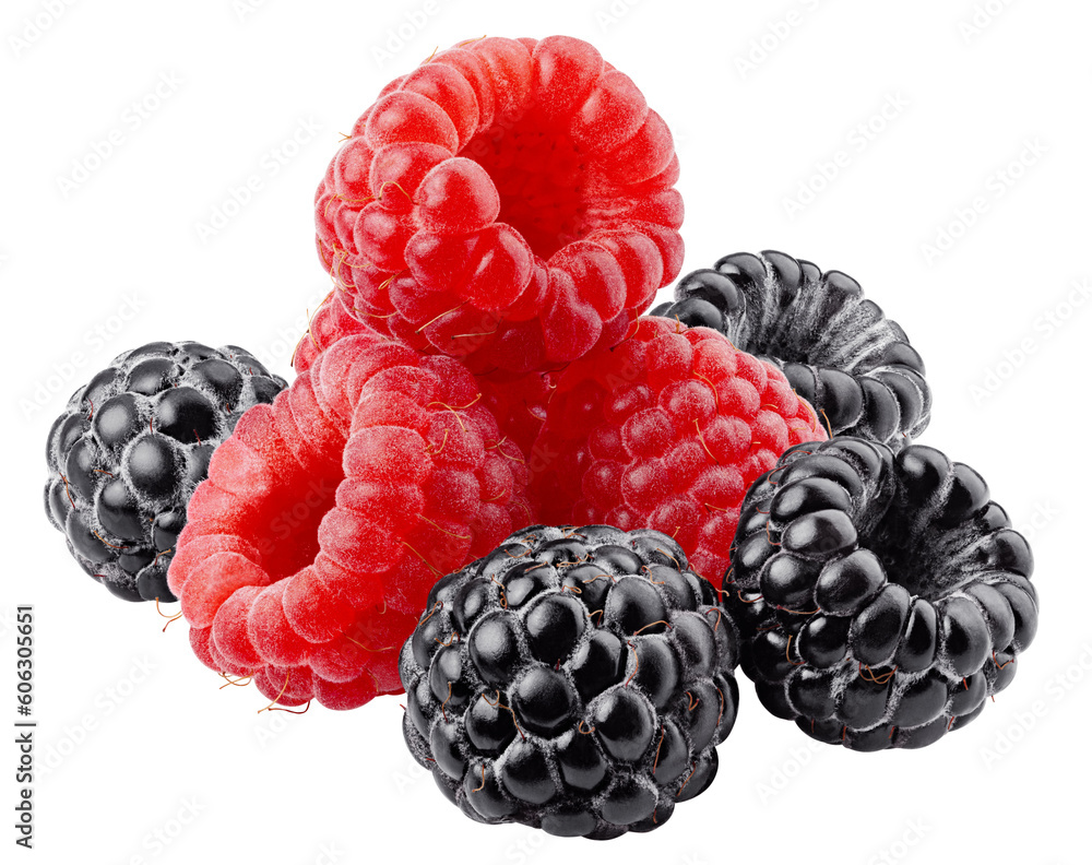 wild berries, raspberry, blackberriy isolated on white background ...