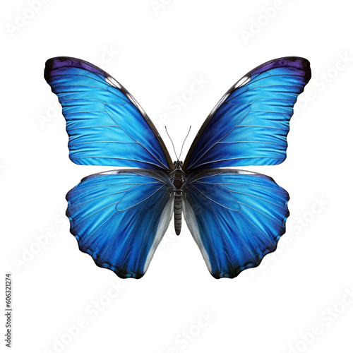 Blue beautiful butterfly on a transparent background. Generative AI © Vlad