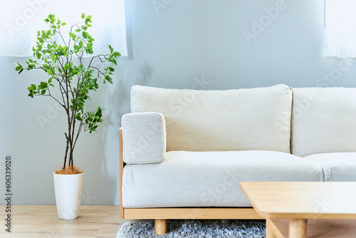 ソファーと観葉植物の置かれた部屋の明るい窓際とカーテンの人物なしの内観と内装 photo