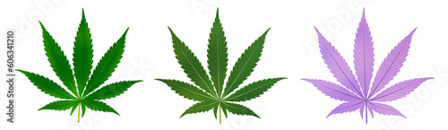 3 types of green marijuana leaves on transparent background .png transparent background images. cannabis leaf illustration