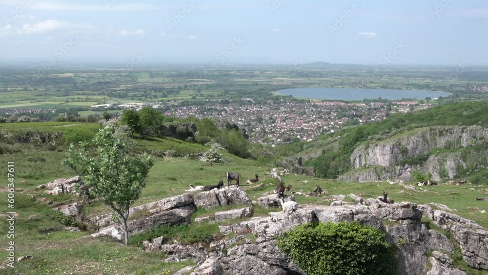 Cheddar Gorge view with wild goats view towards Cheddar Reservoir Somerset England UK Cheddar Gorge view with wild goats view towards Cheddar Reservoir Somerset England UK
