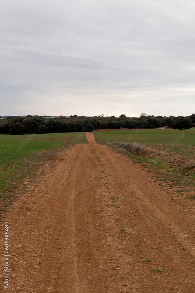 the rural unpaved road that passes through an agricultural field