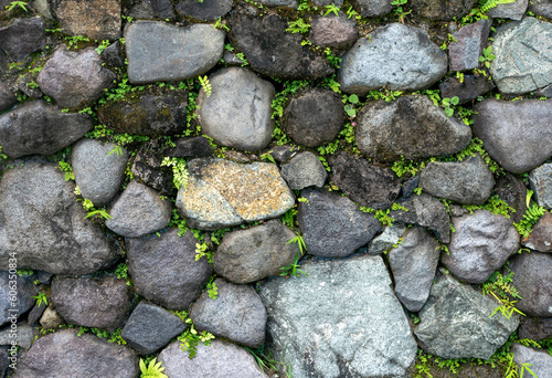 Green grass on the stone walls for natural background and wallpaper