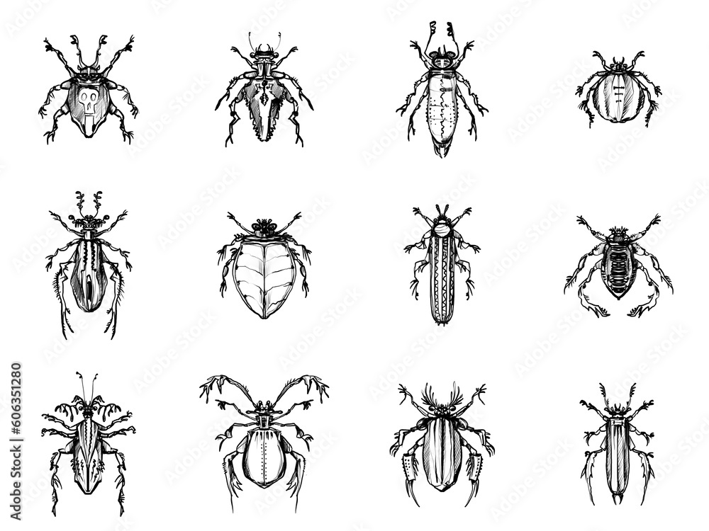 Set of 12 hand drawn fantasy bugs/beetles Set of 12 hand drawn fantasy bugs/beetles