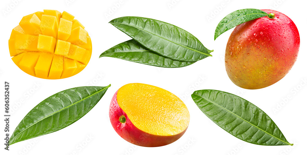 Mango isolated on white background Mango isolated on white background