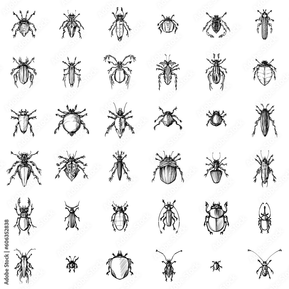 Fotografie Tileable pattern of hand drawn fantasy bugs/beetles