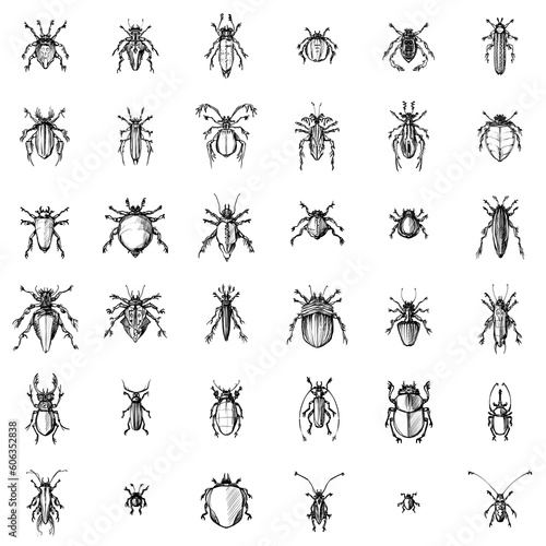 Tileable pattern of hand drawn fantasy bugs/beetles © Peer