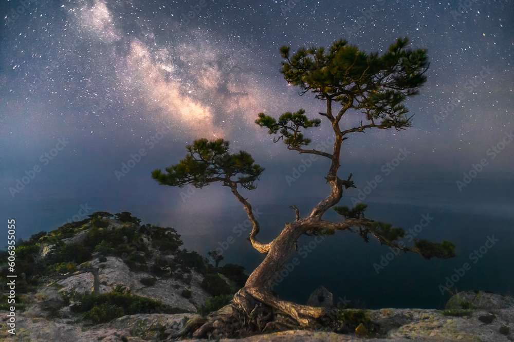 nightscape landscape milky way galaxy panorama nightscape landscape milky way galaxy panorama
