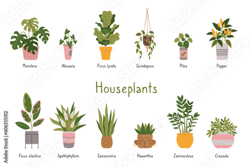 Trendy potted plants set with titles, cartoon style. Indoor houseplants for interior. Urban Cozy home gardening hobby. Modern isolated vector illustration, hand drawn, flat photo
