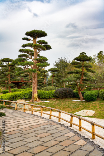 Plants and scenery in a beautiful Japanese garden