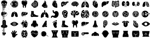 Set Of Organ Icons Isolated Silhouette Solid Icon With Health, Internal, Organ, Medical, Heart, Stomach, Medicine Infographic Simple Vector Illustration Logo