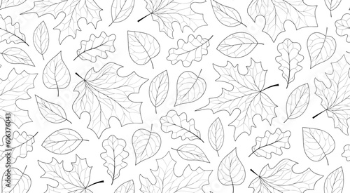 Seamless pattern with various leaves, autumn leaves line art