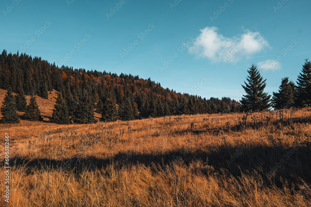 the mountain autumn landscape with colorful forest, Mala Fatra mountains in Slovakia