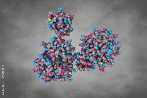 Human recombinant Gla-domainless prothrombin mutant. Space-filling molecular model. Rendering based on protein data bank entry 4hzh. Scientific background. 3d illustration photo