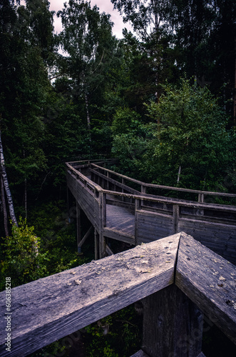 wooden bridge in the forest