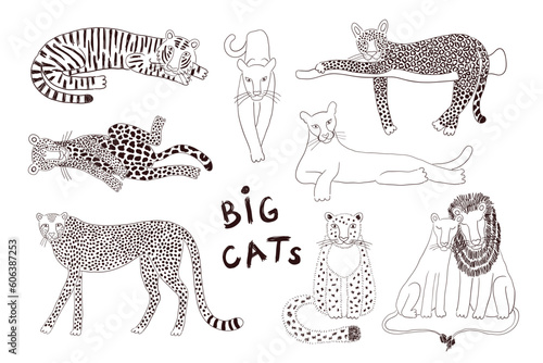 Big cats isolated collection, black white. Lion, tiger, leopard, jaguar, panther, cougar, cheetah. Hand drawn vector illustration. Line art style design. Animal characters, wildlife clipart elements